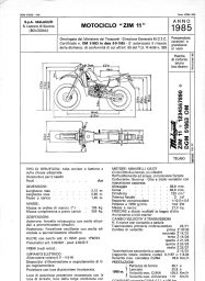 thumbnail of OM51863 ZIM11